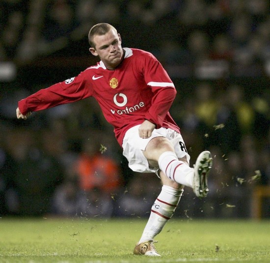 他们不仅切 他们不仅切